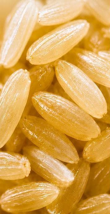 Grains de riz